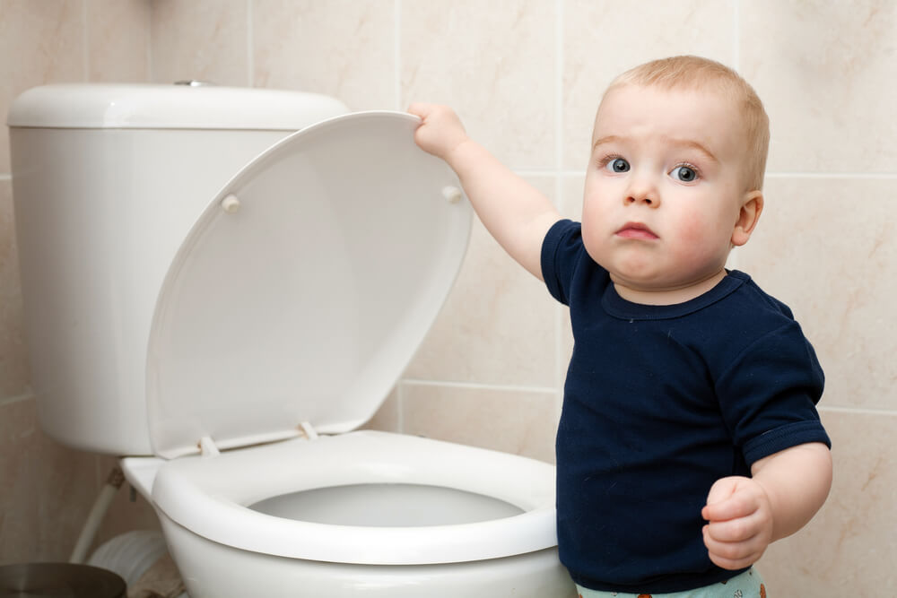 How To Stop A Toilet From Hissing Plancic Local Business Guide